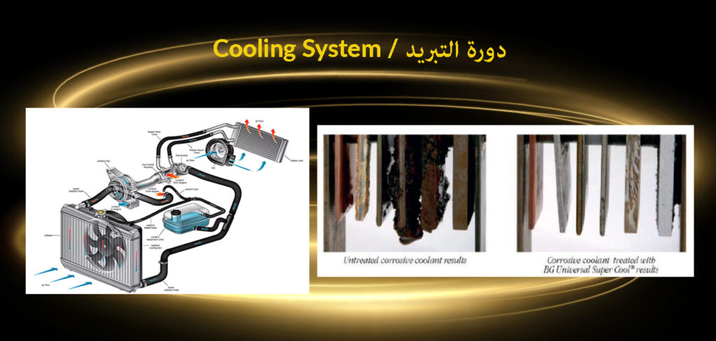 Cooling System Service – BG Middle East